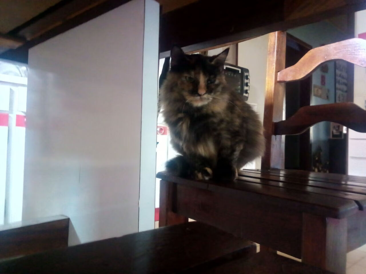 中国足球战术分工细化程度分析模型,足球技战术分析